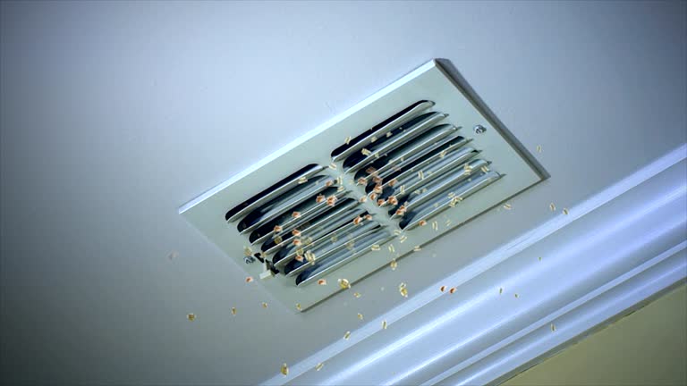 Best Home Air Vent Cleaning  in Markle, IN